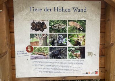 Hohe Wand és Myrafälle – Családi kirándulás Alsó-Ausztriában